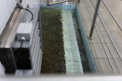 Mini IMG 5785